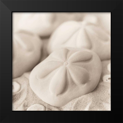 La Mer 4 Black Modern Wood Framed Art Print by Blaustein, Alan