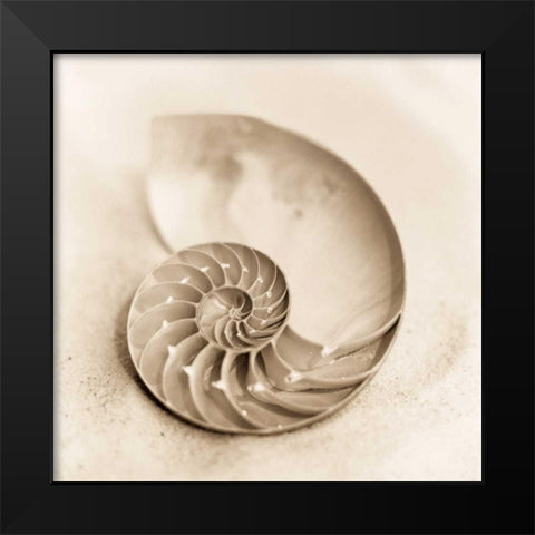 Il Oceano No. 4 Black Modern Wood Framed Art Print by Blaustein, Alan