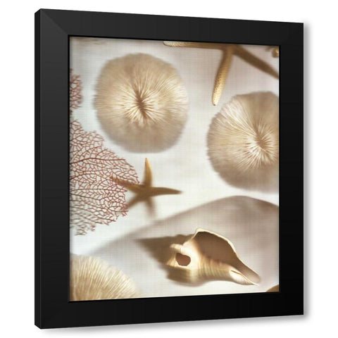 Nautical Illuminations No.1 Black Modern Wood Framed Art Print by Blaustein, Alan