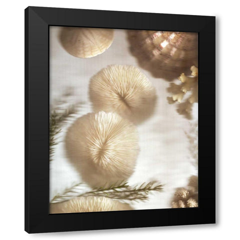 Nautical Illuminations No.2 Black Modern Wood Framed Art Print by Blaustein, Alan