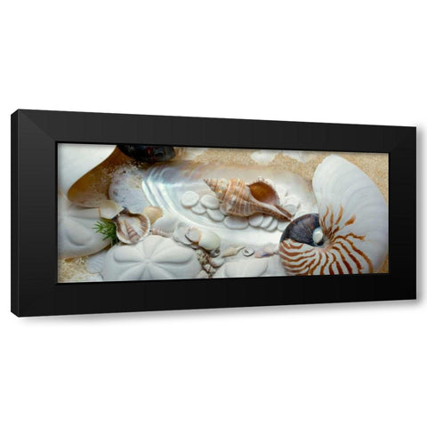 Island Tide Pool No. 1 Black Modern Wood Framed Art Print by Blaustein, Alan