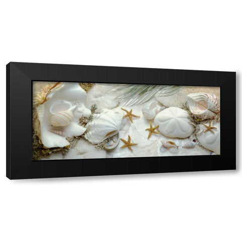 Island Tide Pool No. 5 Black Modern Wood Framed Art Print with Double Matting by Blaustein, Alan