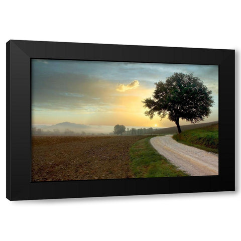 Tuscan Farm Road #1 Black Modern Wood Framed Art Print with Double Matting by Blaustein, Alan