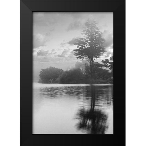 Coastal Oak Series No. 34 Black Modern Wood Framed Art Print by Blaustein, Alan