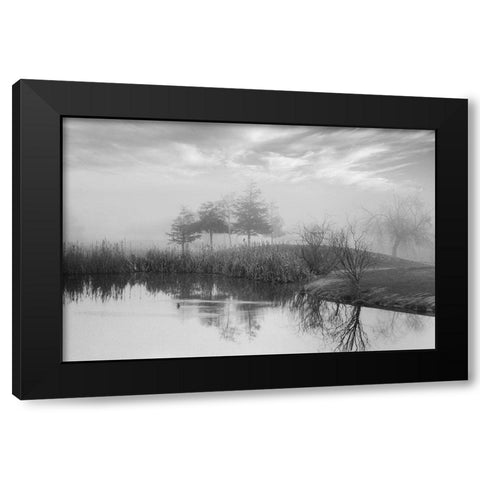 Coastal Oak Series No. 43 Black Modern Wood Framed Art Print by Blaustein, Alan
