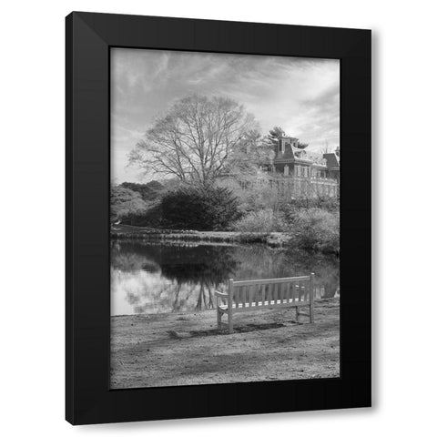 Coastal Oak Series No. 63 Black Modern Wood Framed Art Print with Double Matting by Blaustein, Alan
