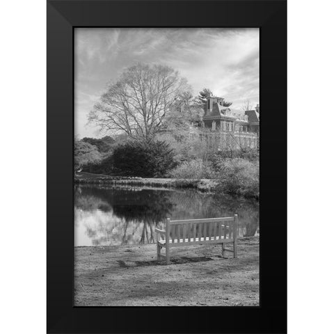 Coastal Oak Series No. 63 Black Modern Wood Framed Art Print by Blaustein, Alan