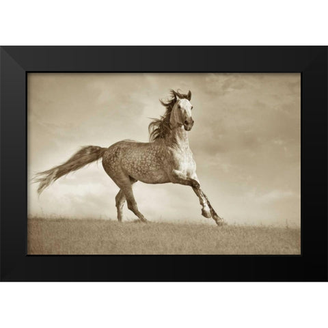 Like The Wind Black Modern Wood Framed Art Print by Dearing, Lisa