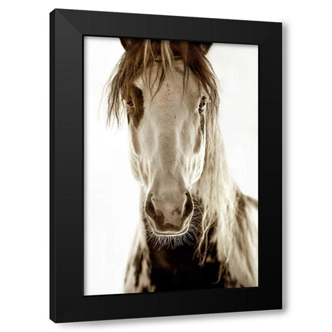 Wilbur Cruz Black Modern Wood Framed Art Print with Double Matting by Dearing, Lisa