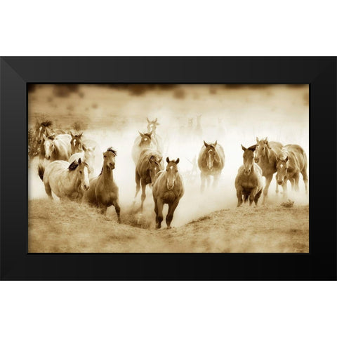 San Cristobol Horses Black Modern Wood Framed Art Print by Dearing, Lisa