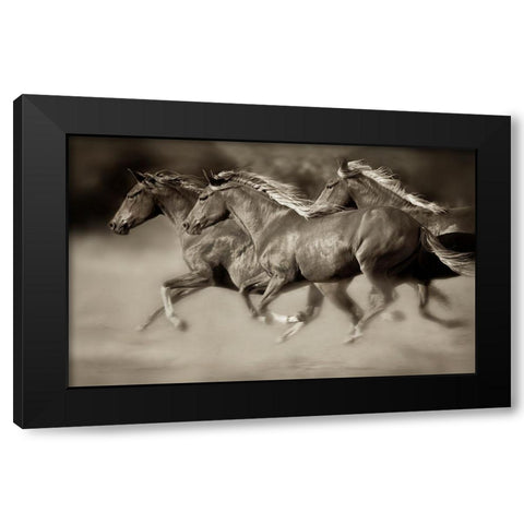 Wind Runners Black Modern Wood Framed Art Print by Dearing, Lisa