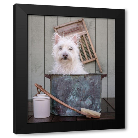 Washing the Dog Black Modern Wood Framed Art Print with Double Matting by Fielding, Edward M.