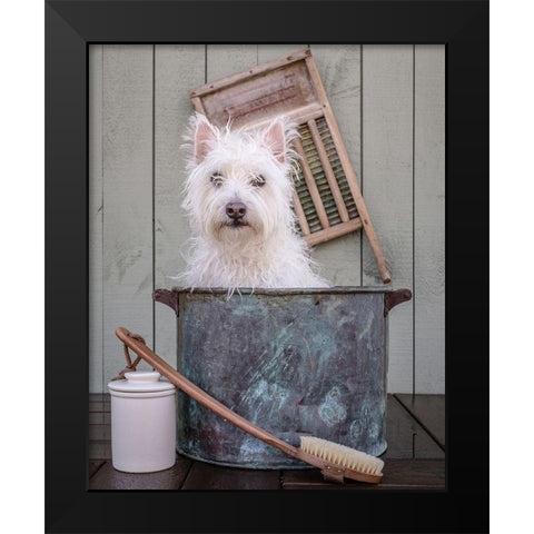 Washing the Dog Black Modern Wood Framed Art Print by Fielding, Edward M.