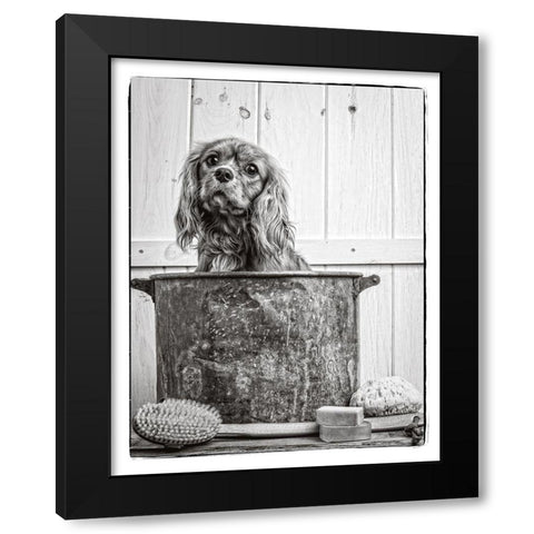 Vintage Puppy Bath Black Modern Wood Framed Art Print with Double Matting by Fielding, Edward M.