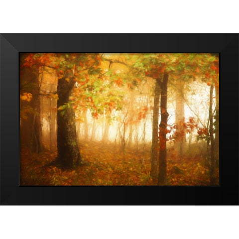 Autumns Rainbow Black Modern Wood Framed Art Print by Grippo-Pike, Carrie Ann
