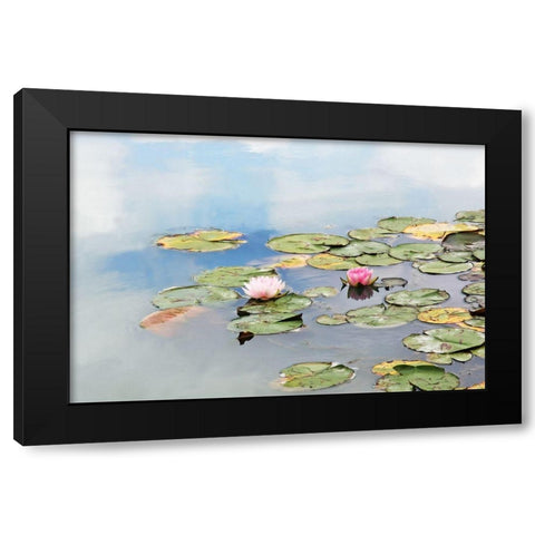 MonetÃÂs Garden Black Modern Wood Framed Art Print by Ryan, Brooke T.
