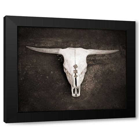 Sepia Cattle Skull Black Modern Wood Framed Art Print with Double Matting by Ryan, Brooke T.