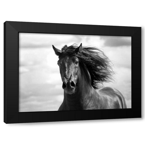 Breath of Life Black Modern Wood Framed Art Print with Double Matting by Stromberg, Tony