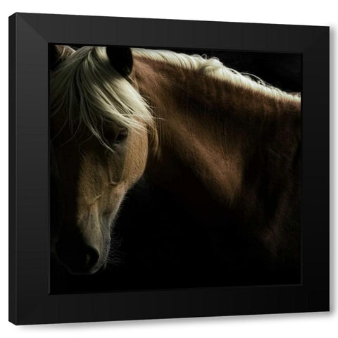 Spirit Horse Black Modern Wood Framed Art Print with Double Matting by Stromberg, Tony
