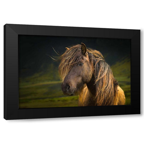 Born To Be Wild Black Modern Wood Framed Art Print with Double Matting by Schneidersmann, Anne