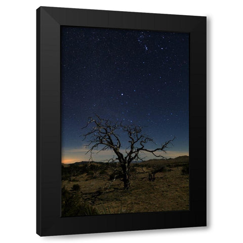 Mohave at Night No. 1 Black Modern Wood Framed Art Print by Severn, Shawn/Corinne