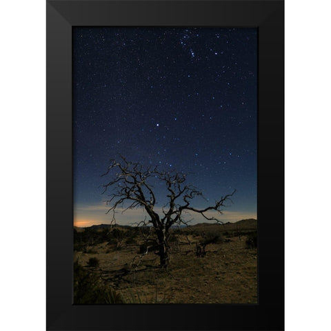 Mohave at Night No. 1 Black Modern Wood Framed Art Print by Severn, Shawn/Corinne