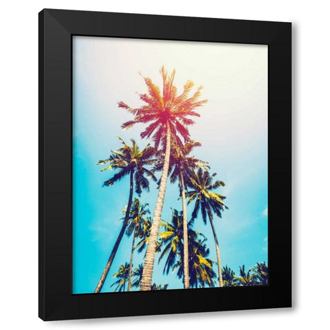Palms in the Sun Black Modern Wood Framed Art Print by Tai Prints
