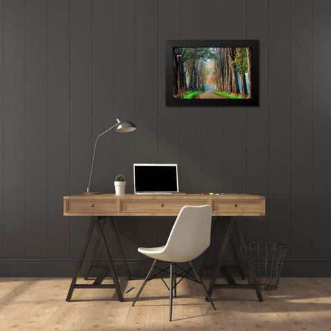 Acacias in Autumn Black Modern Wood Framed Art Print by Van de Goor, Lars