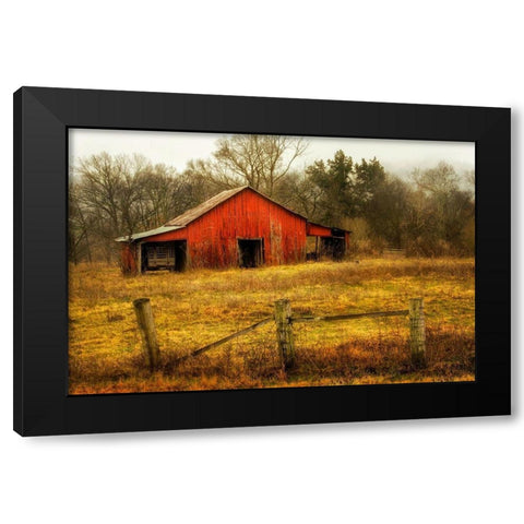 In the Country Black Modern Wood Framed Art Print with Double Matting by Amos, Andy