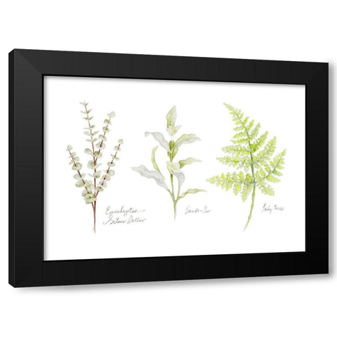 Named Ferns II Black Modern Wood Framed Art Print with Double Matting by Gaynor, Janice