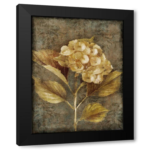 Antique Hydrangea I Black Modern Wood Framed Art Print with Double Matting by Loreth, Lanie
