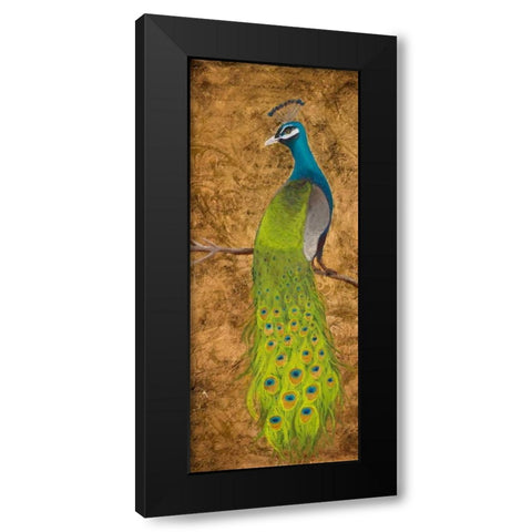 Peacocks I Black Modern Wood Framed Art Print with Double Matting by Josefina