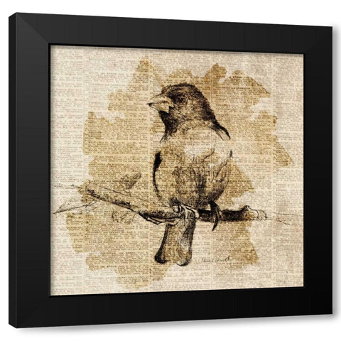 Bird Study IV Black Modern Wood Framed Art Print with Double Matting by Loreth, Lanie