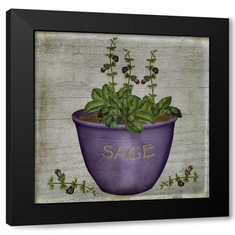 Herb Sage Black Modern Wood Framed Art Print by Albert, Beth