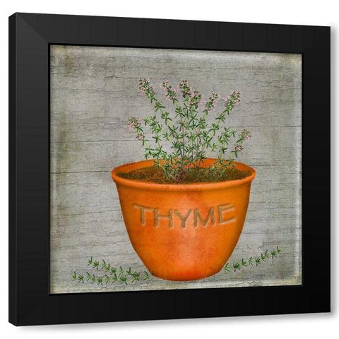 Herb Thyme Black Modern Wood Framed Art Print by Albert, Beth