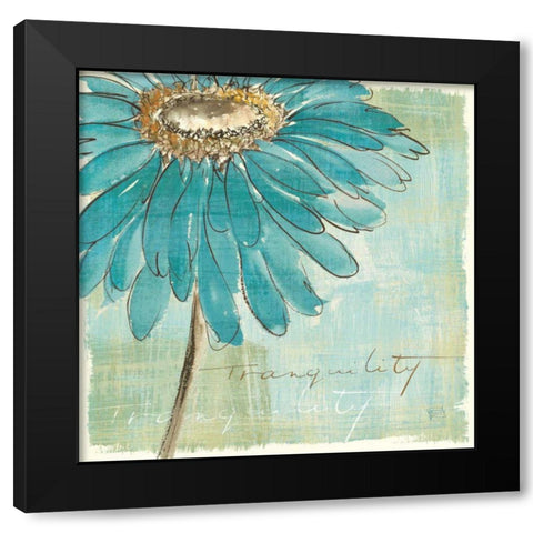 Spa Daisies III Black Modern Wood Framed Art Print with Double Matting by Paschke, Chris