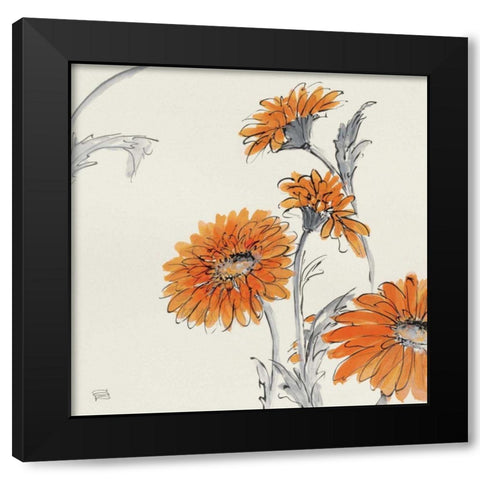 Orange Gerbera I Black Modern Wood Framed Art Print with Double Matting by Paschke, Chris