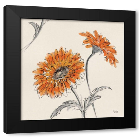 Orange Gerbera II Black Modern Wood Framed Art Print with Double Matting by Paschke, Chris