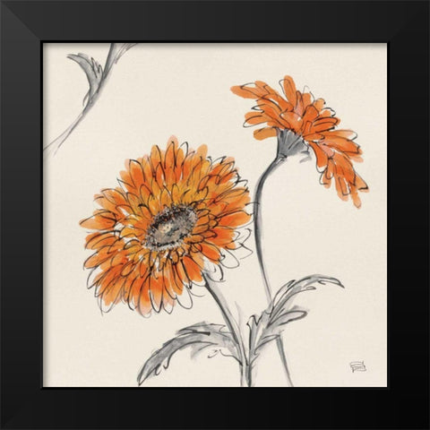Orange Gerbera II Black Modern Wood Framed Art Print by Paschke, Chris