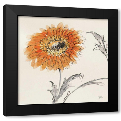Orange Gerbera III Black Modern Wood Framed Art Print with Double Matting by Paschke, Chris