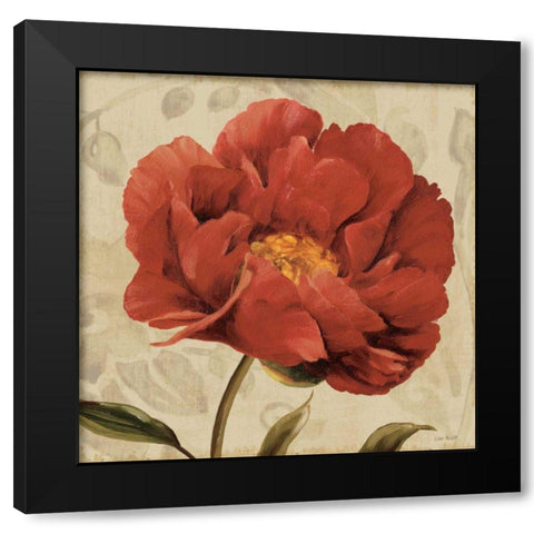 Floral Romance II C Black Modern Wood Framed Art Print with Double Matting by Audit, Lisa