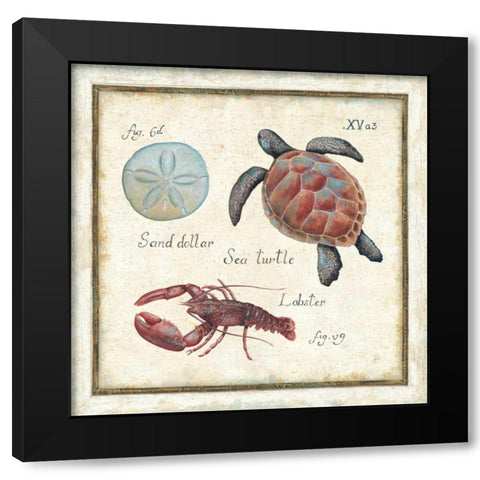 Oceanography II Black Modern Wood Framed Art Print with Double Matting by Brissonnet, Daphne