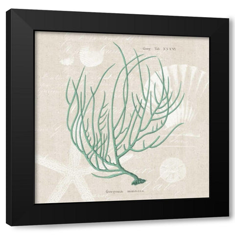 Gorgonia Miniacea Black Modern Wood Framed Art Print with Double Matting by Wild Apple Portfolio