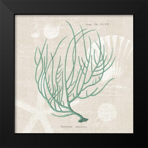 Gorgonia Miniacea Black Modern Wood Framed Art Print by Wild Apple Portfolio