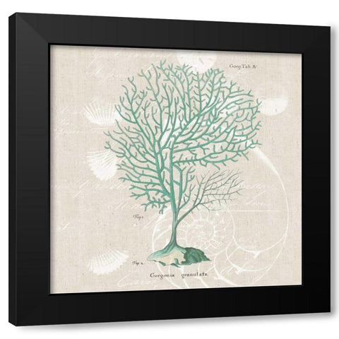 Gorgonia Granulata Black Modern Wood Framed Art Print with Double Matting by Wild Apple Portfolio
