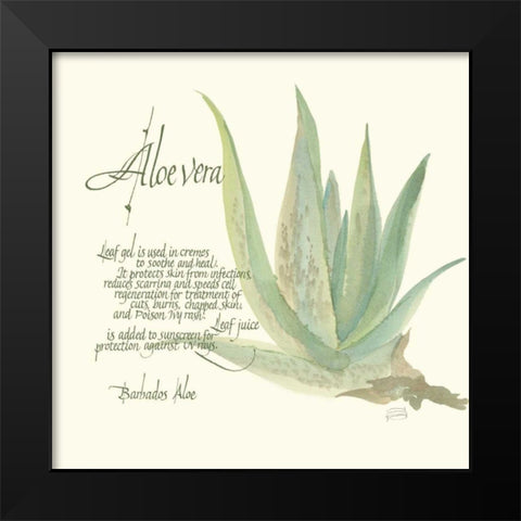 Aloe Vera Black Modern Wood Framed Art Print by Paschke, Chris