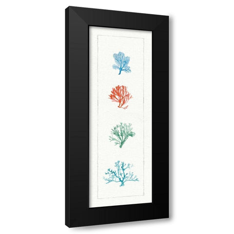 Water Coral VII Black Modern Wood Framed Art Print with Double Matting by Audit, Lisa