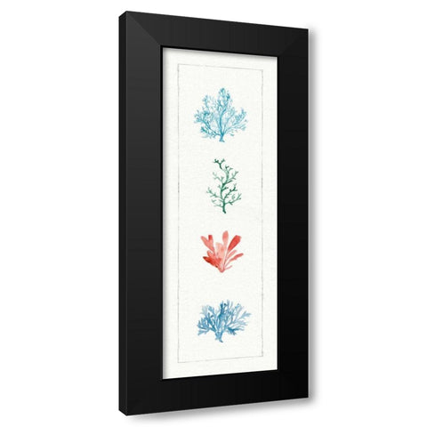 Water Coral VIII Black Modern Wood Framed Art Print with Double Matting by Audit, Lisa