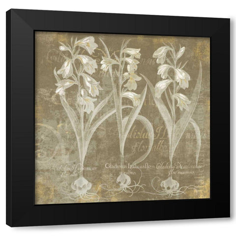 Flower Lines I Black Modern Wood Framed Art Print with Double Matting by Schlabach, Sue