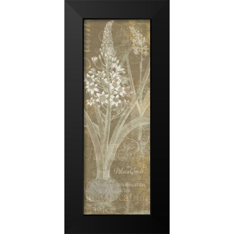 Flower Lines II Black Modern Wood Framed Art Print by Schlabach, Sue